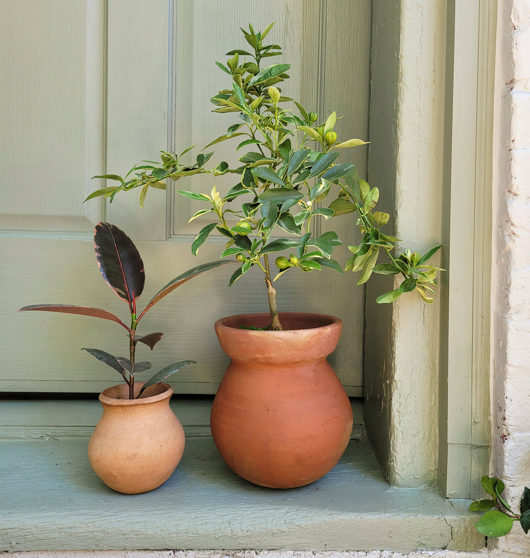 Sol Terracotta Pot